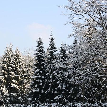 فندق هوتل ويدفريدي Roßbach المظهر الخارجي الصورة